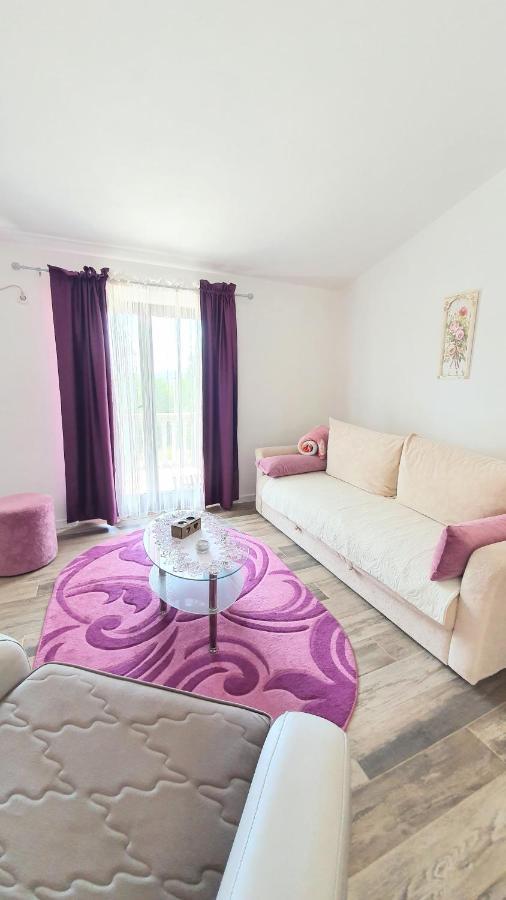 Apartment Jelena Sutvara كوتور المظهر الخارجي الصورة