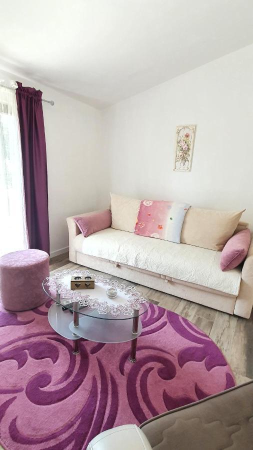 Apartment Jelena Sutvara كوتور المظهر الخارجي الصورة
